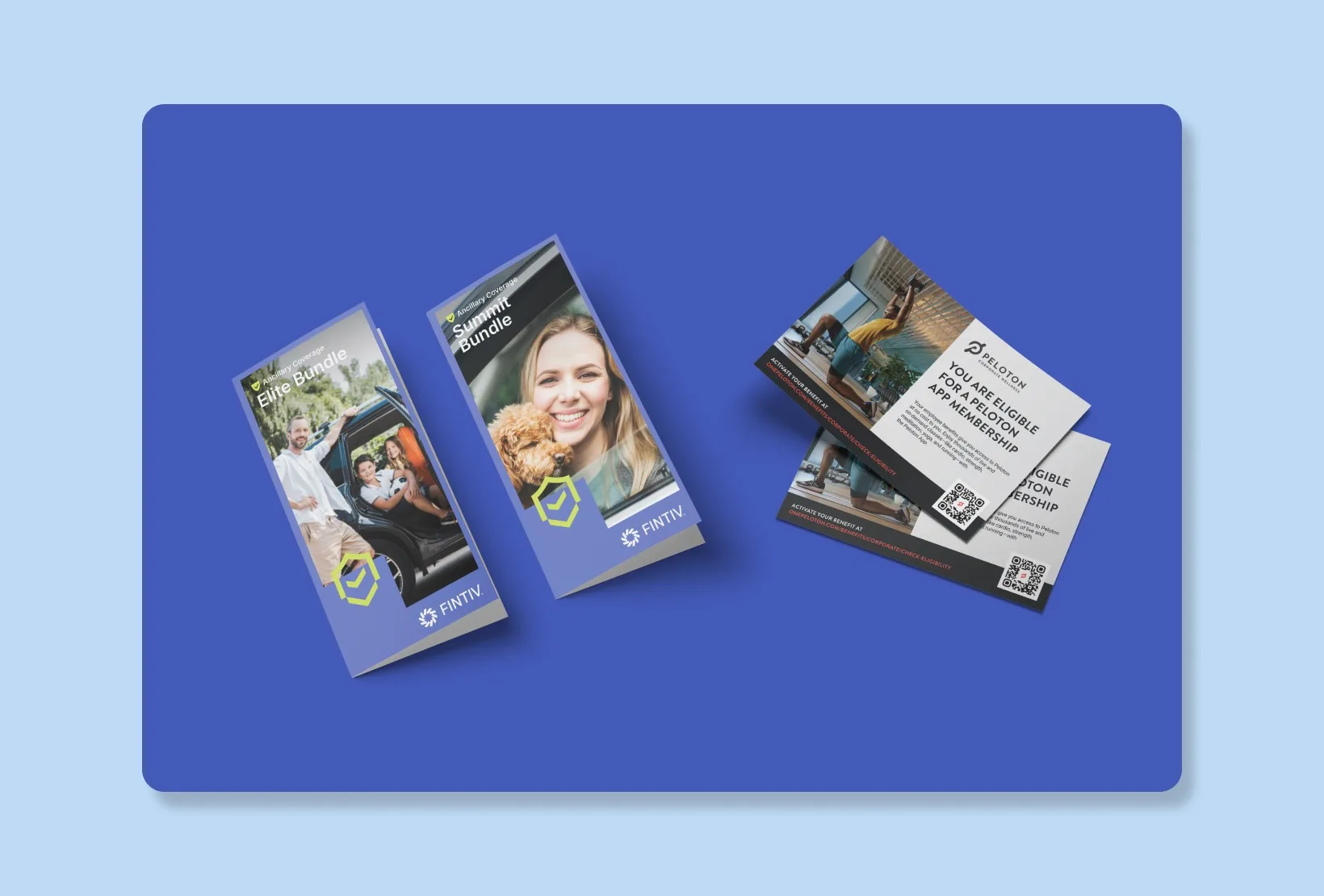brochures and membership postcards displayed as printed marketing collateral