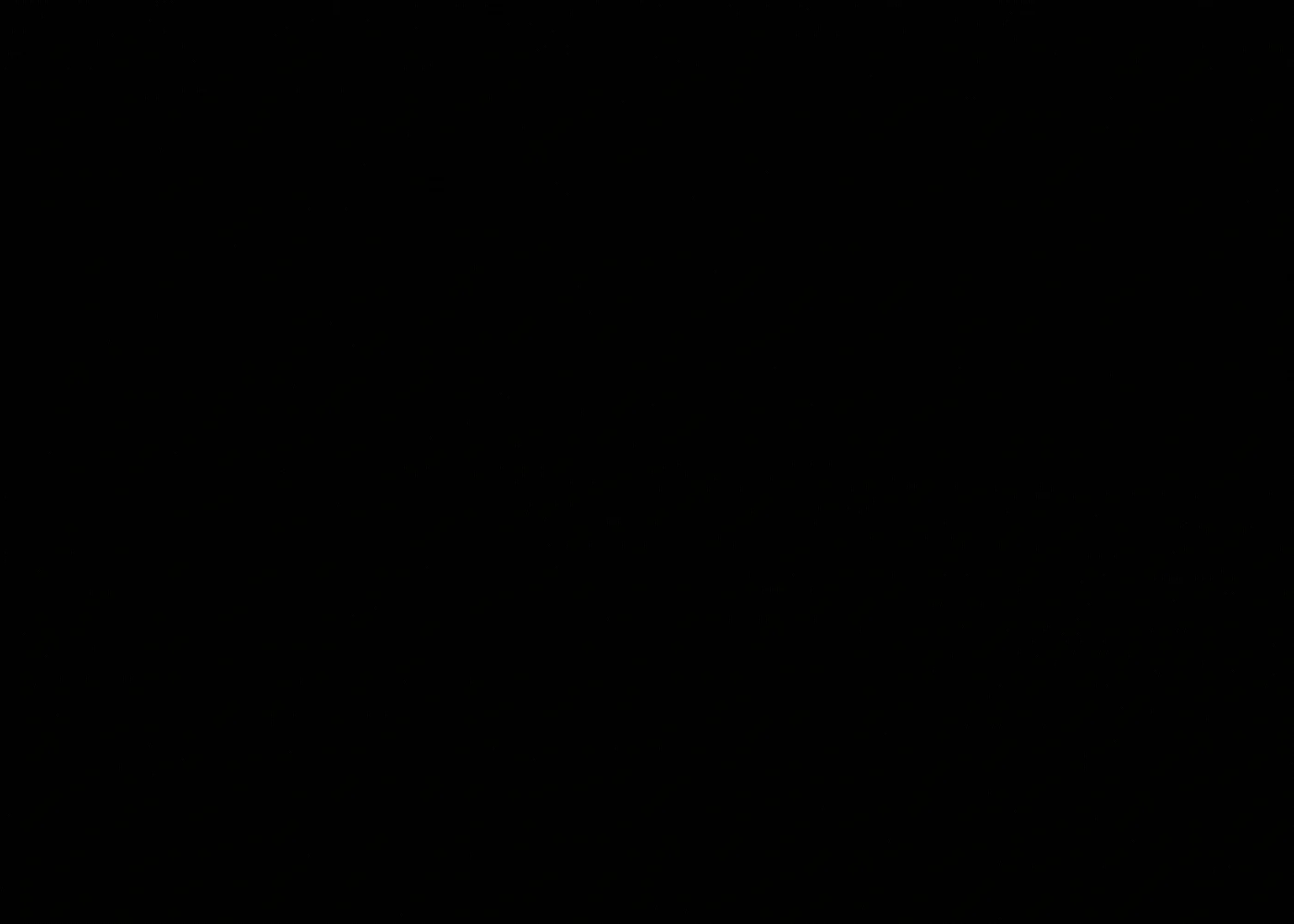 TikTok Presentation Slides Animation