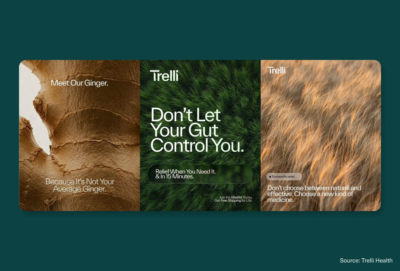Trelli Health brand campaign with organic textures, nature-inspired imagery, and modern wellness advertising design