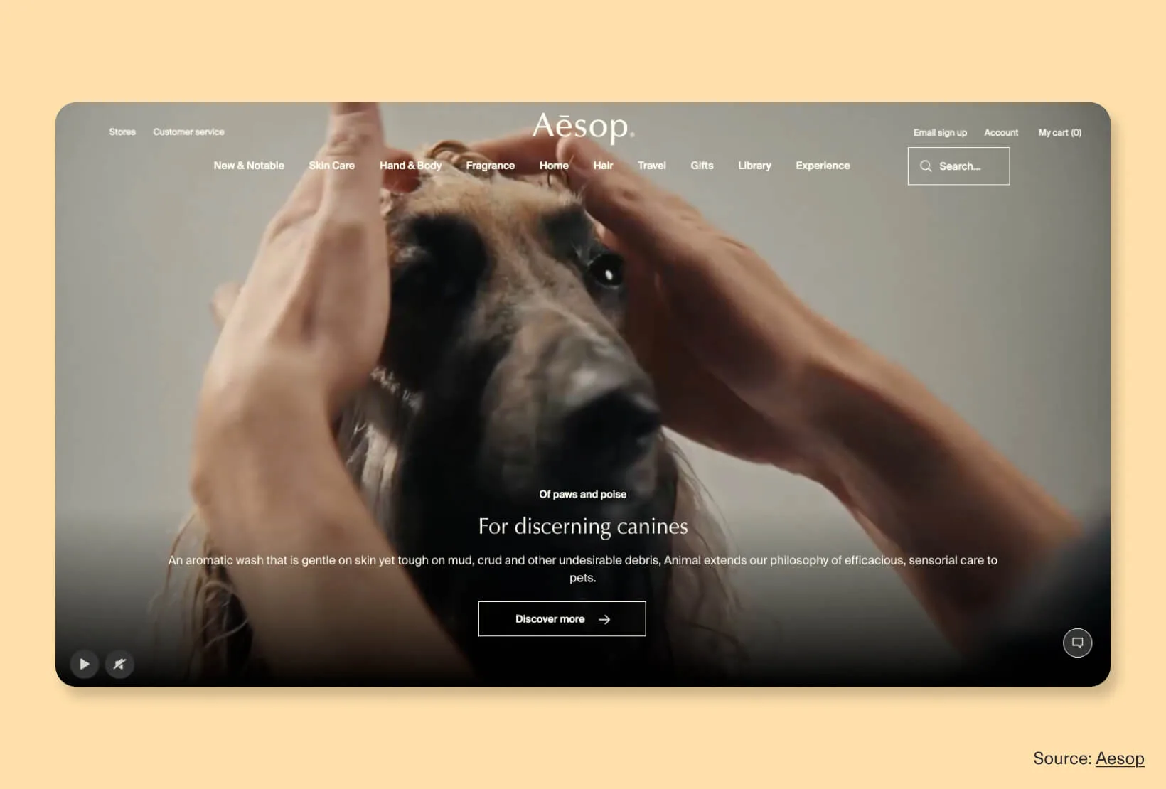 Aesop homepage with editorial styling, calm visuals, and refined typography, showing a strong visual identity in website design.