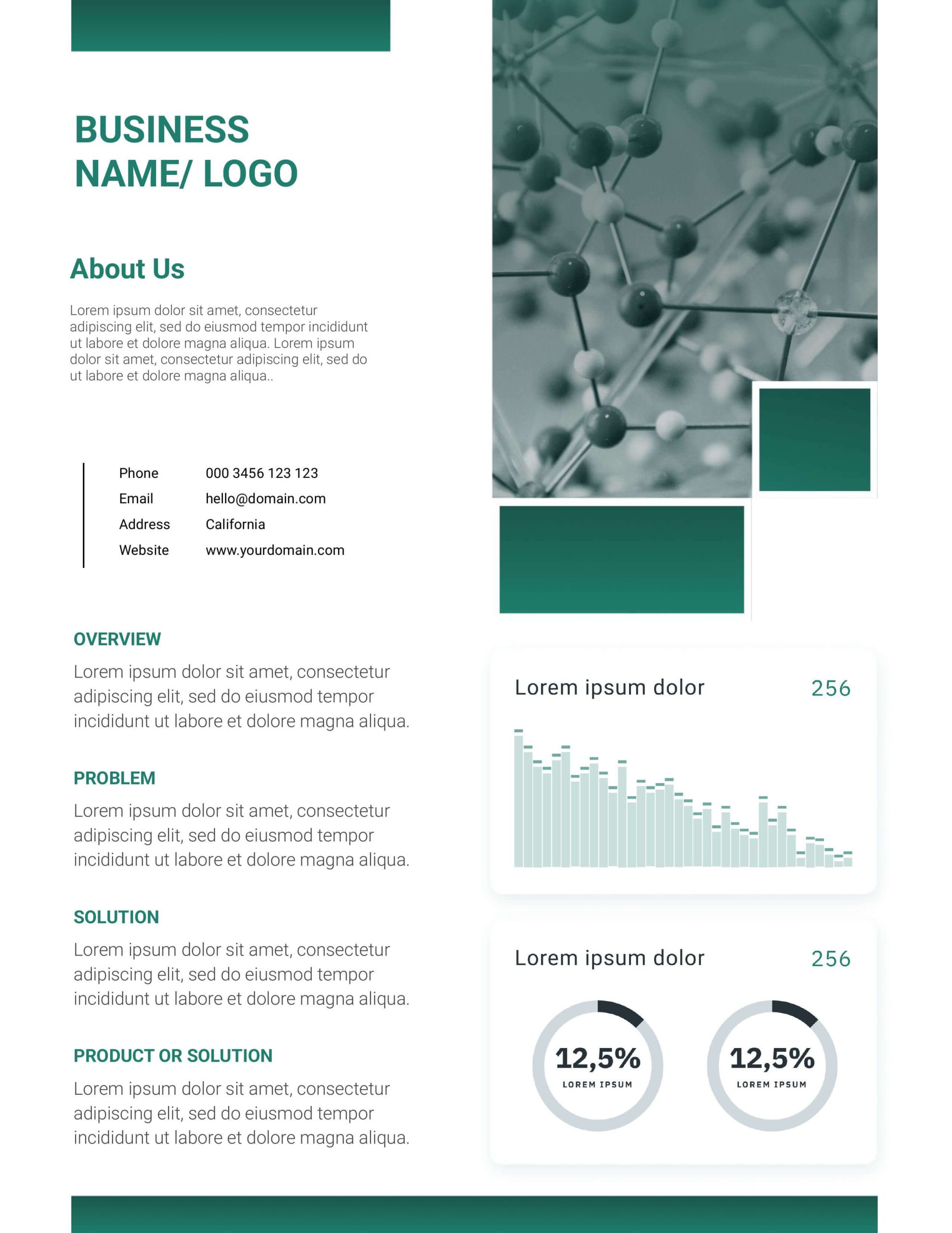 Pharmaceutical company one-pager template with molecule background, About Us content, business overview, and performance charts
