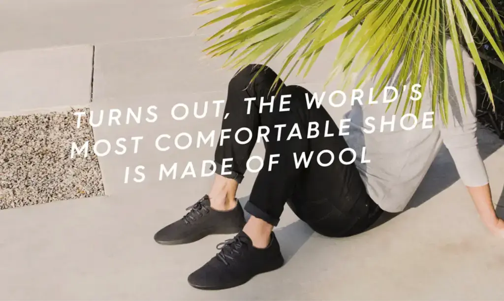 Image of Allbirds campaign on sustainability in the footwear industry. Example of branding for a niche.