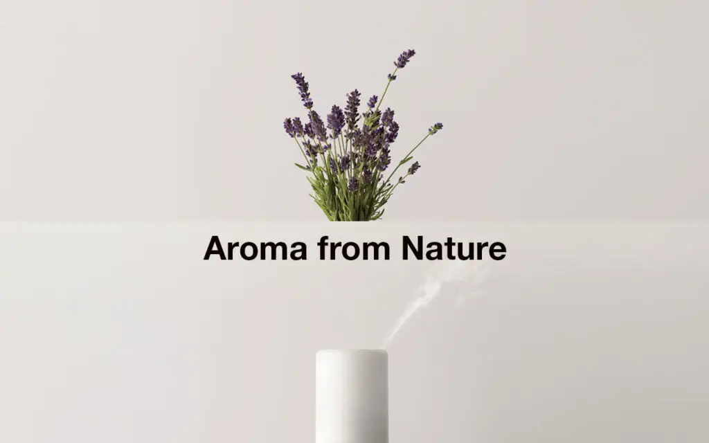 Serene design with lavender bouquet, white diffuser emitting mist, and "Aroma from Nature" text.