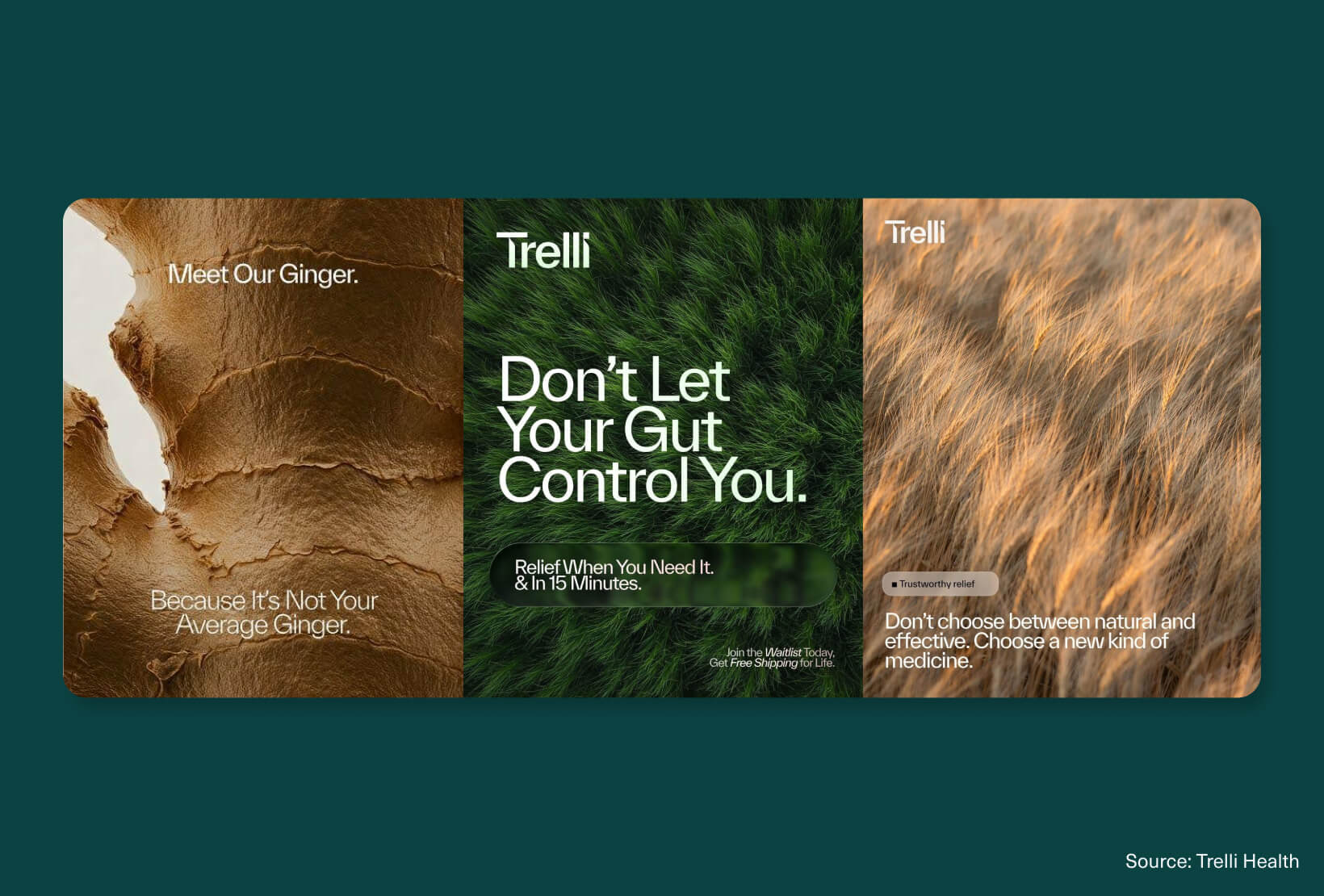 Trelli Health brand campaign with organic textures, nature-inspired imagery, and modern wellness advertising design