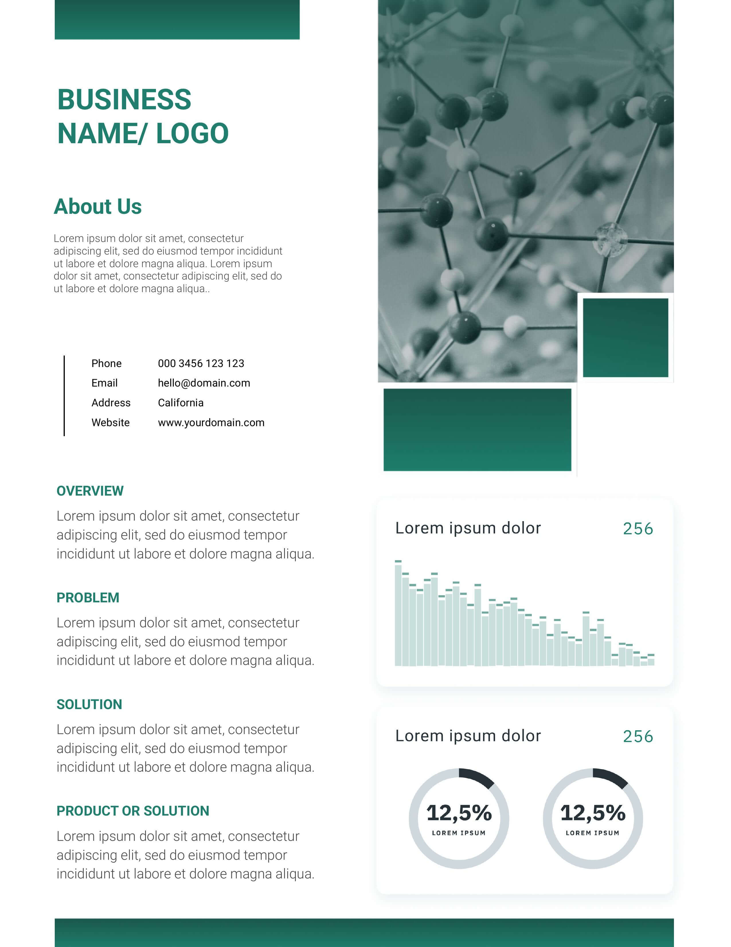 Pharmaceutical company one-pager template with molecule background, About Us content, business overview, and performance charts